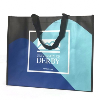 50cm OEM Laminated 100gsm Non Woven Shopping Bag