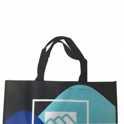 50cm OEM Laminated 100gsm Non Woven Shopping Bag