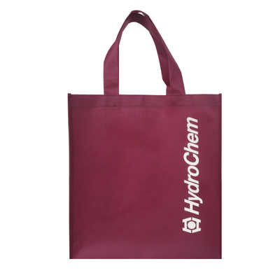 Eco Friendly 80gsm 1000pcs 30x15x35cm PP Non Woven Bag