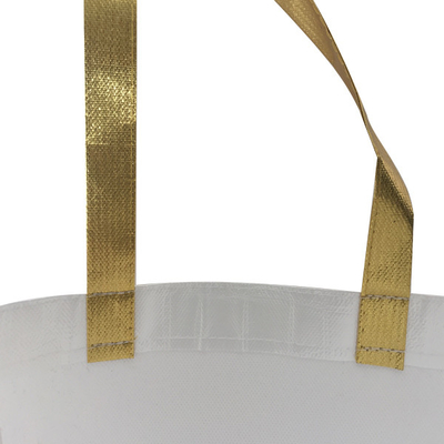 OEM 50cm Laminated 38x12x30cm Eco Non Woven Bag
