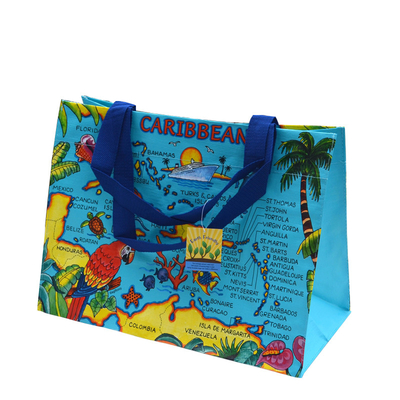 TNT 3000pcs 120gsm 35x39.5cm Polypropylene Woven Bag
