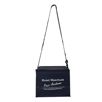 Non Woven 20x15x18cm CMKY OEM 80gsm Insulated Cooler Bag