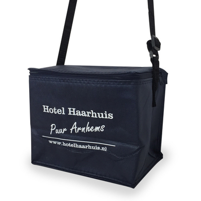 Non Woven 20x15x18cm CMKY OEM 80gsm Insulated Cooler Bag