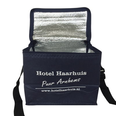 Non Woven 20x15x18cm CMKY OEM 80gsm Insulated Cooler Bag