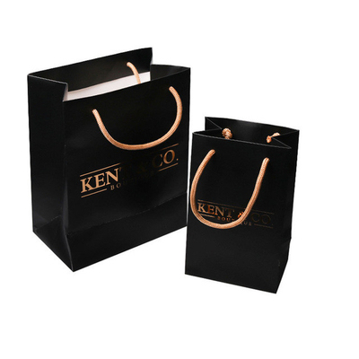 PMS Non Woven Paper Bag