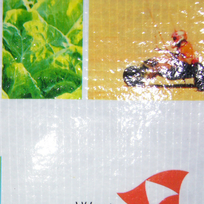 90gsm Custom Non Woven Tote Bags